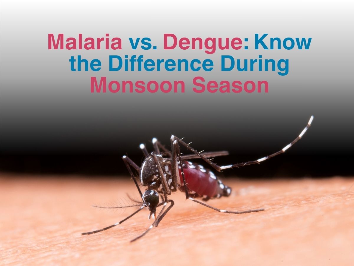 Aug-Malaria vs. Dengue_ Know the Difference During Monsoon Season