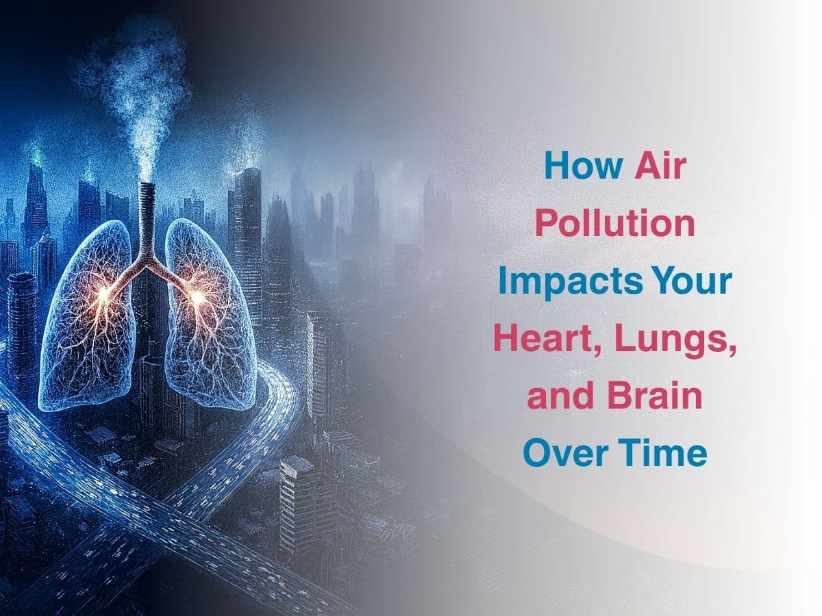 How Air Pollution Impacts Your Heart, Lungs, And Brain Over Time